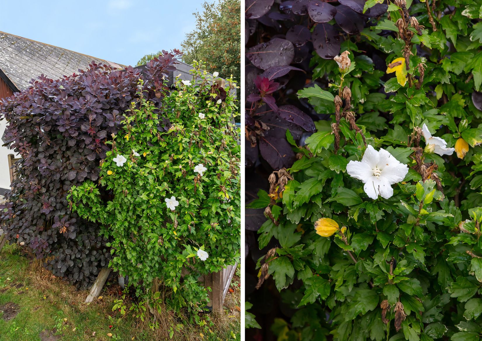 Villa, Otte Marsvins väg 121, Ensligheten, Ystad