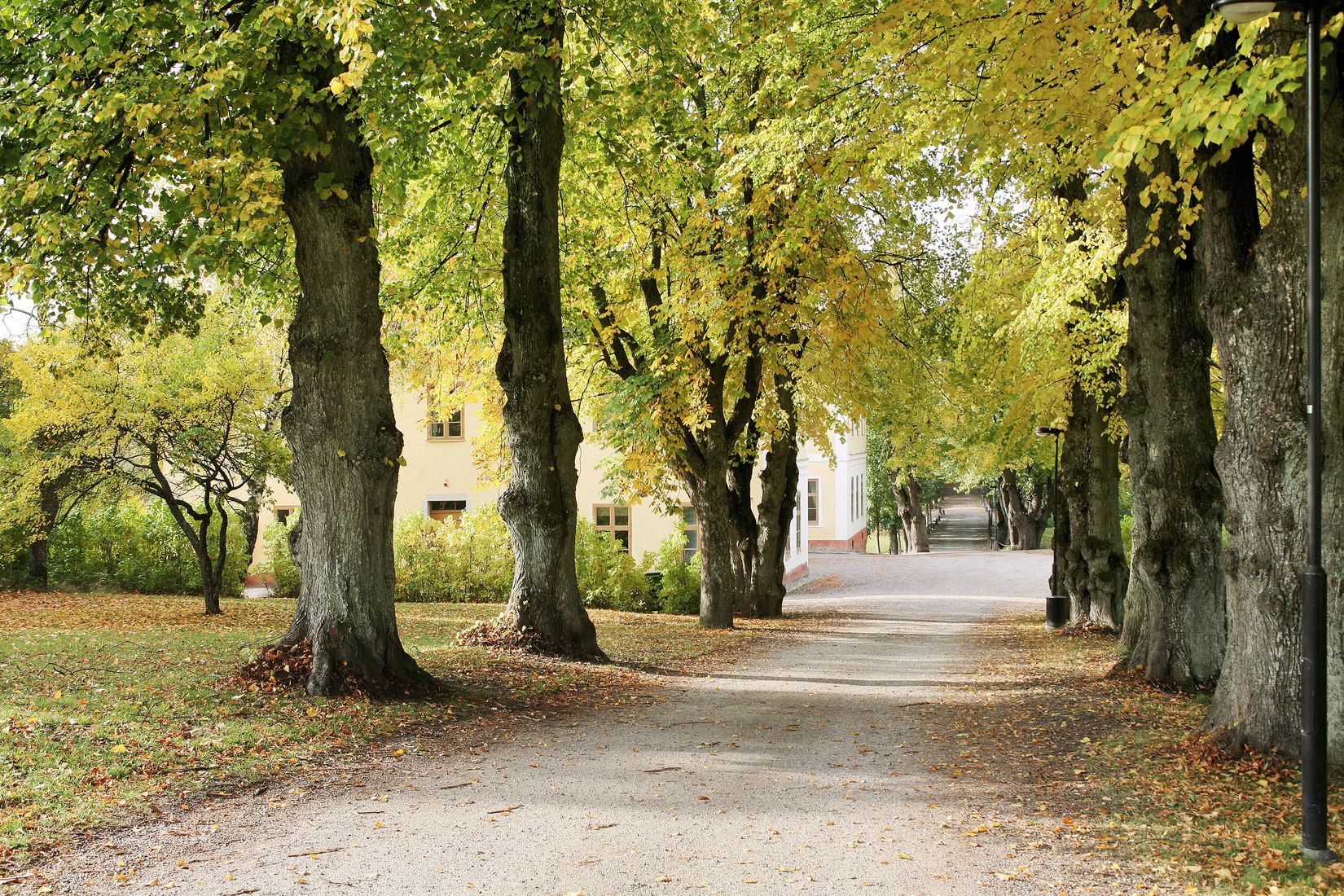 Bostadsrätt, Viltstigen 4, Edsberg, Sollentuna