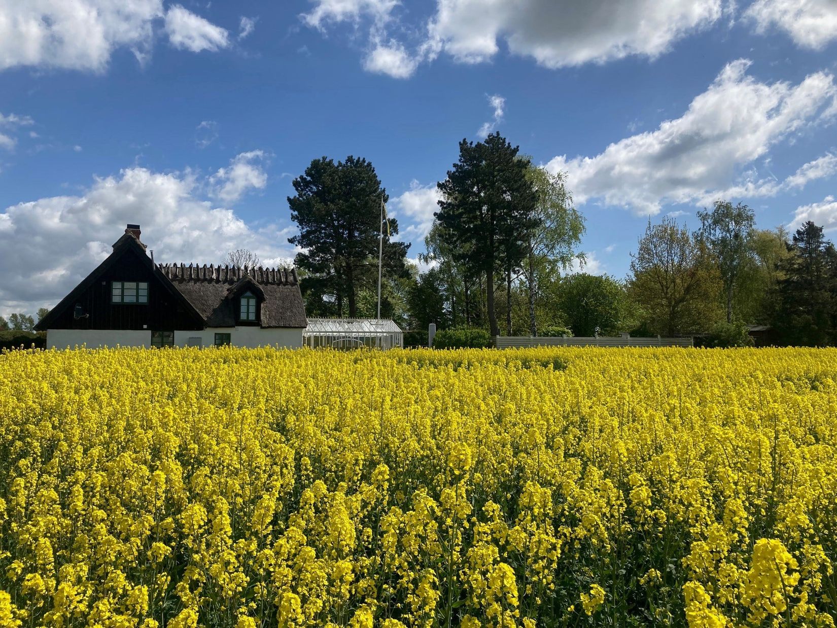 Villa, Gudmundtorpsvägen 166-0, Stora Beddinge, Trelleborg