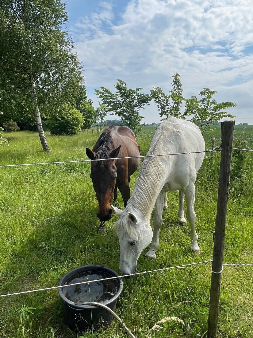 Villa, Gudmundtorpsvägen 166-0, Stora Beddinge, Trelleborg