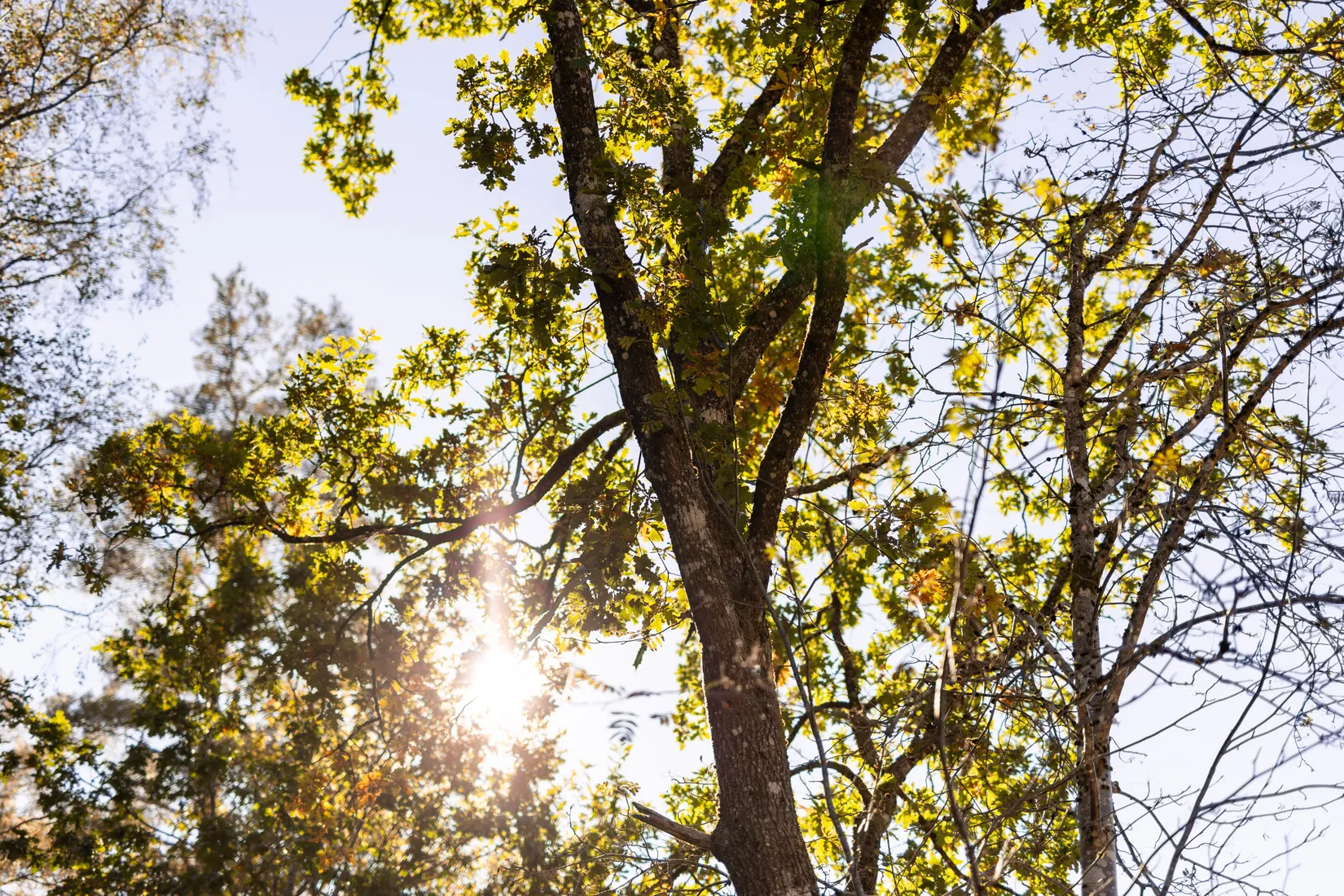 Villa, Bergums furåsväg 8, Olofstorp, Göteborg