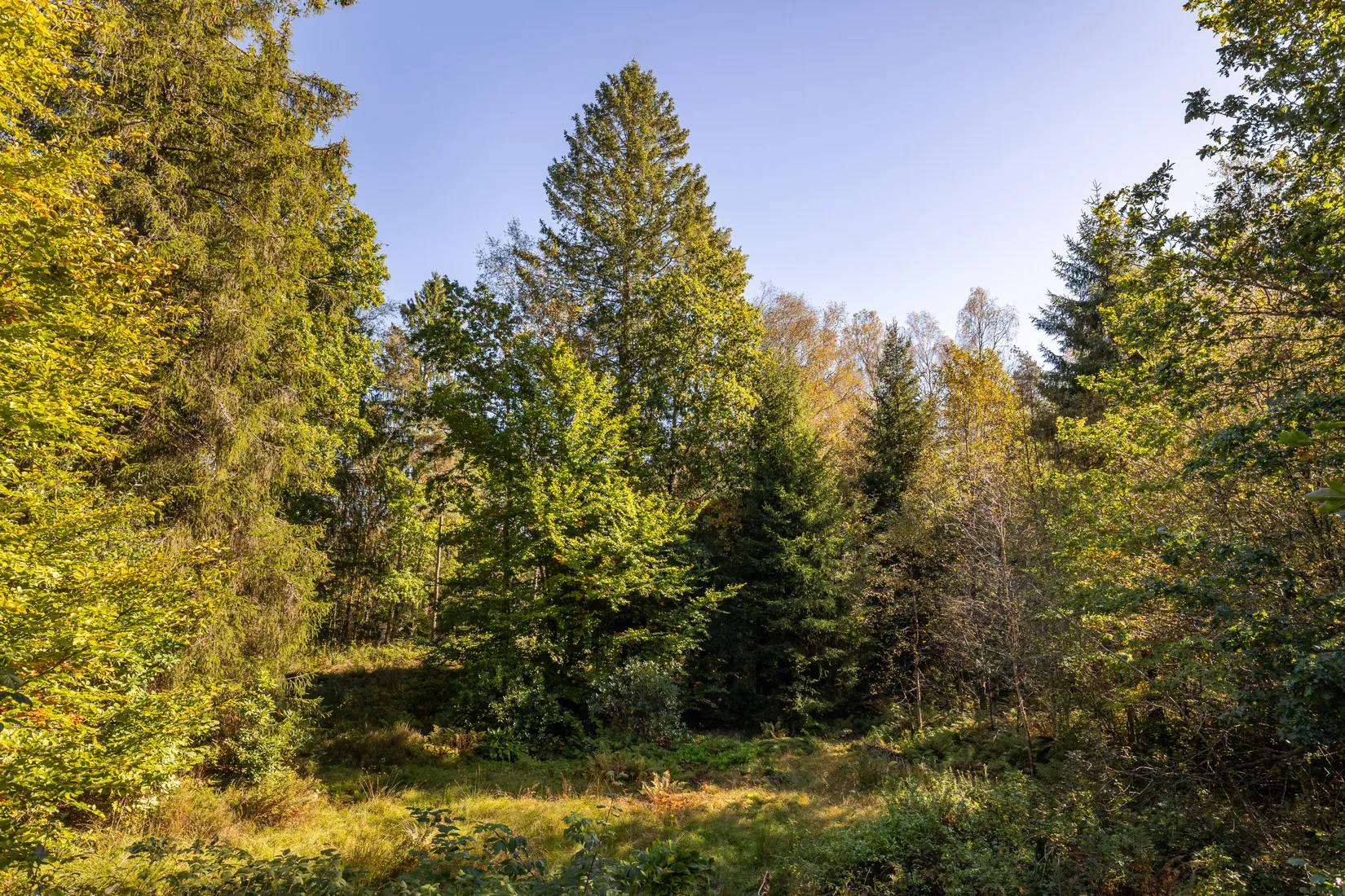 Villa, Bergums furåsväg 8, Olofstorp, Göteborg