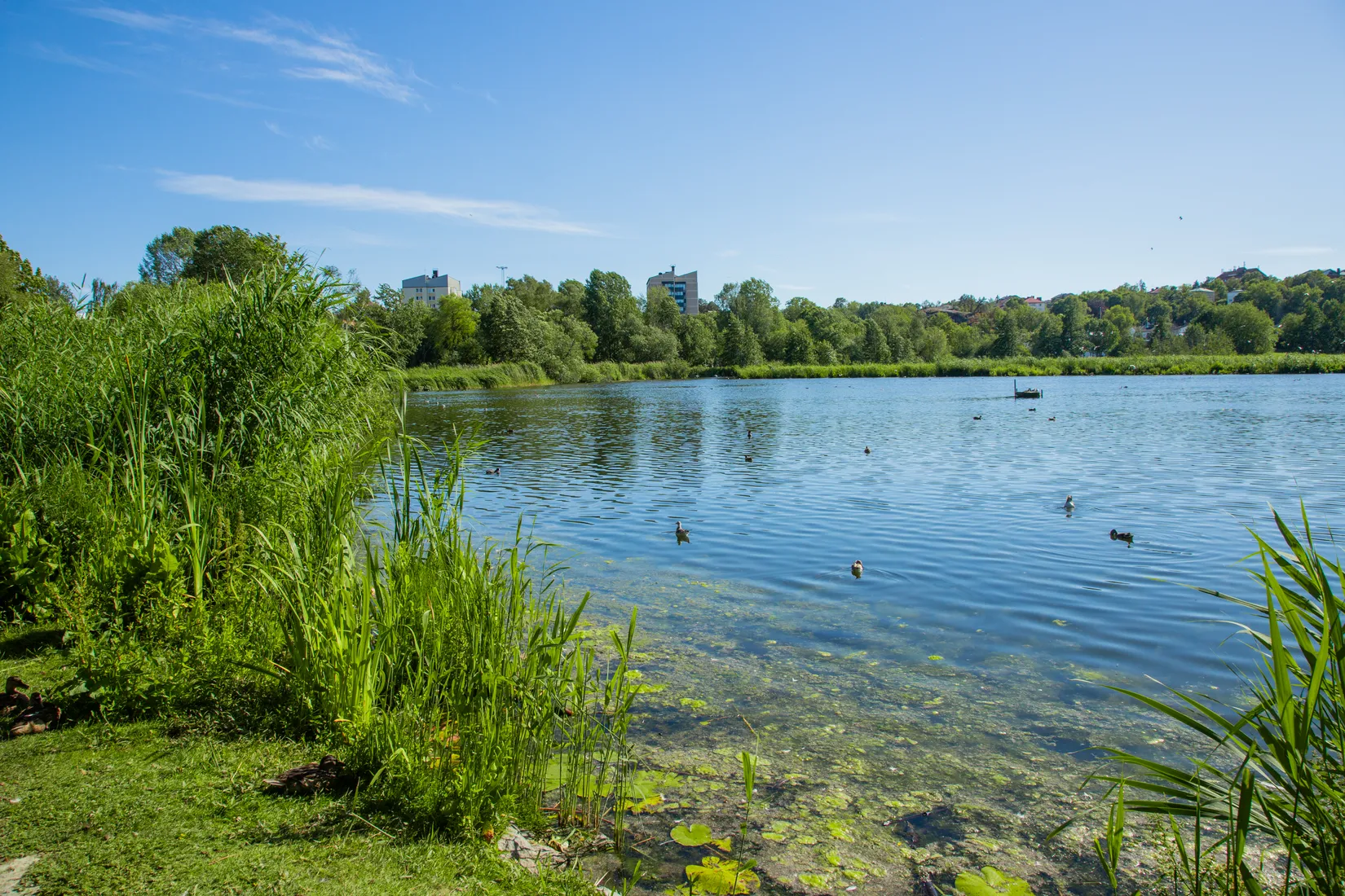 Bostadsrätt, Charlottenburgsvägen 15, Råsunda, Solna