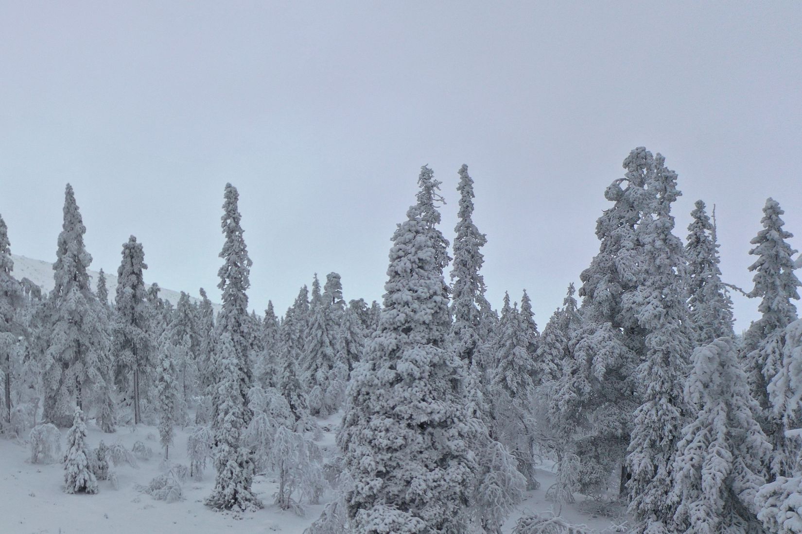 Tomt, Stellavägen 12, Berg