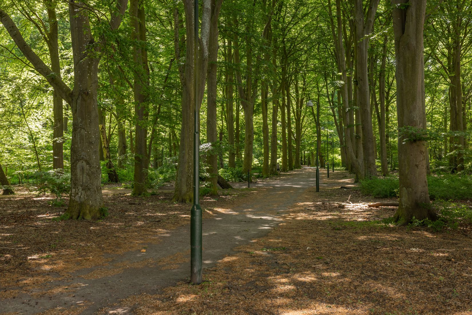 Bostadsrätt, Mariedalsvägen 57D, Dammfri, Malmö