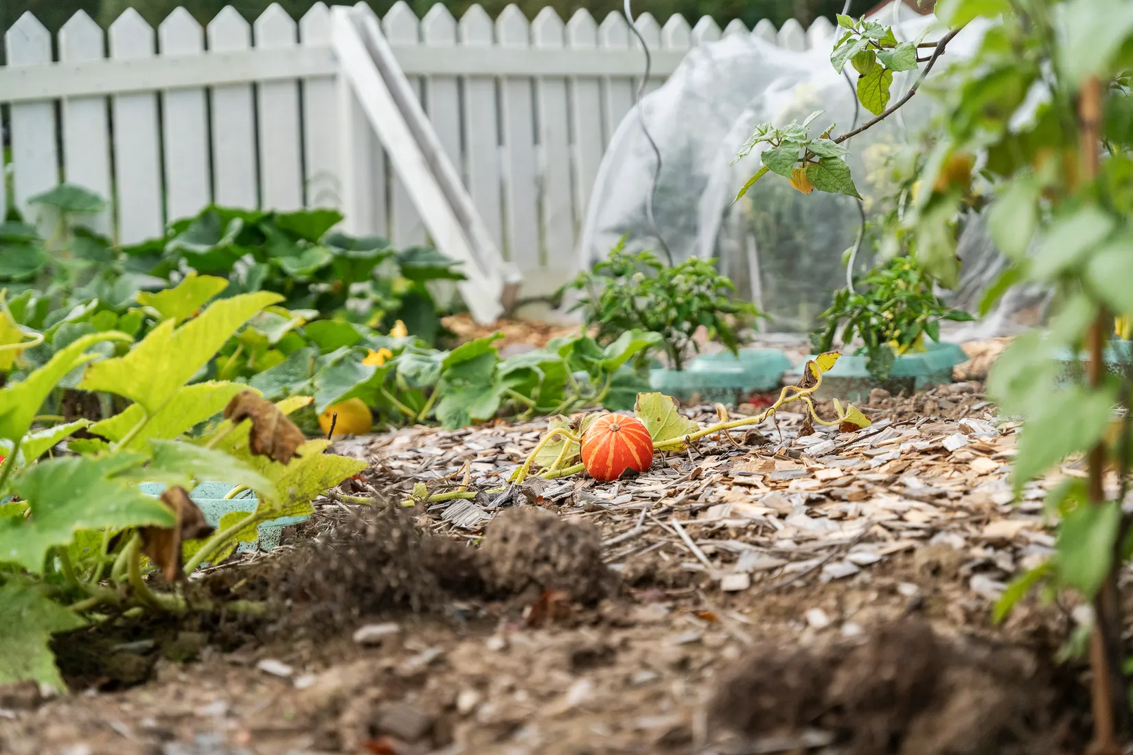 Villa, Törresröd 114, Lilla Edet