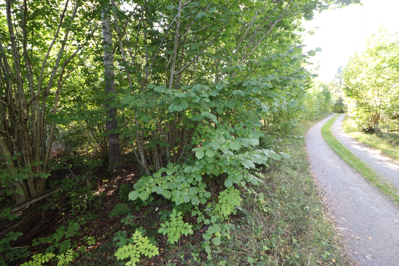 Tomt, Semmersbyvägen 10a, Väddöviken, Norrtälje