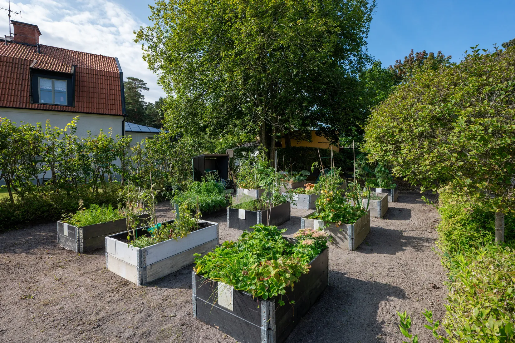Bostadsrätt, Opphemsgatan 6, Gottfridsberg, Linköping