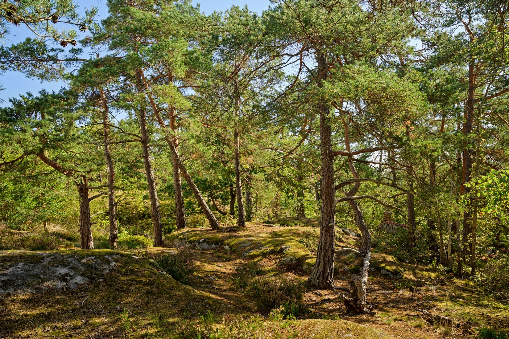 Bostadsrätt, Klyvarevägen 58B, Skogalund, Nacka