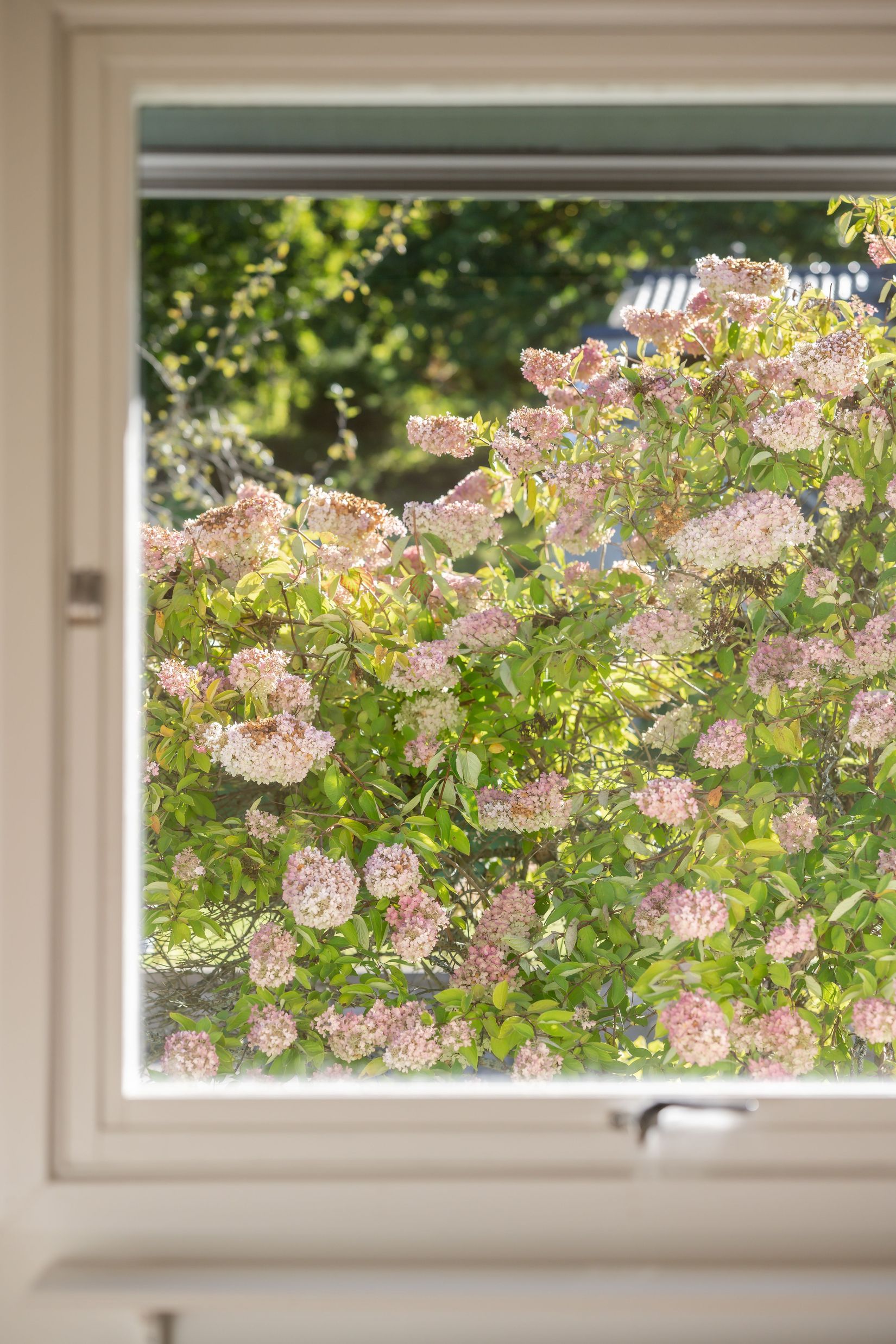 Villa, Viggvägen 8, Frufällan, Borås