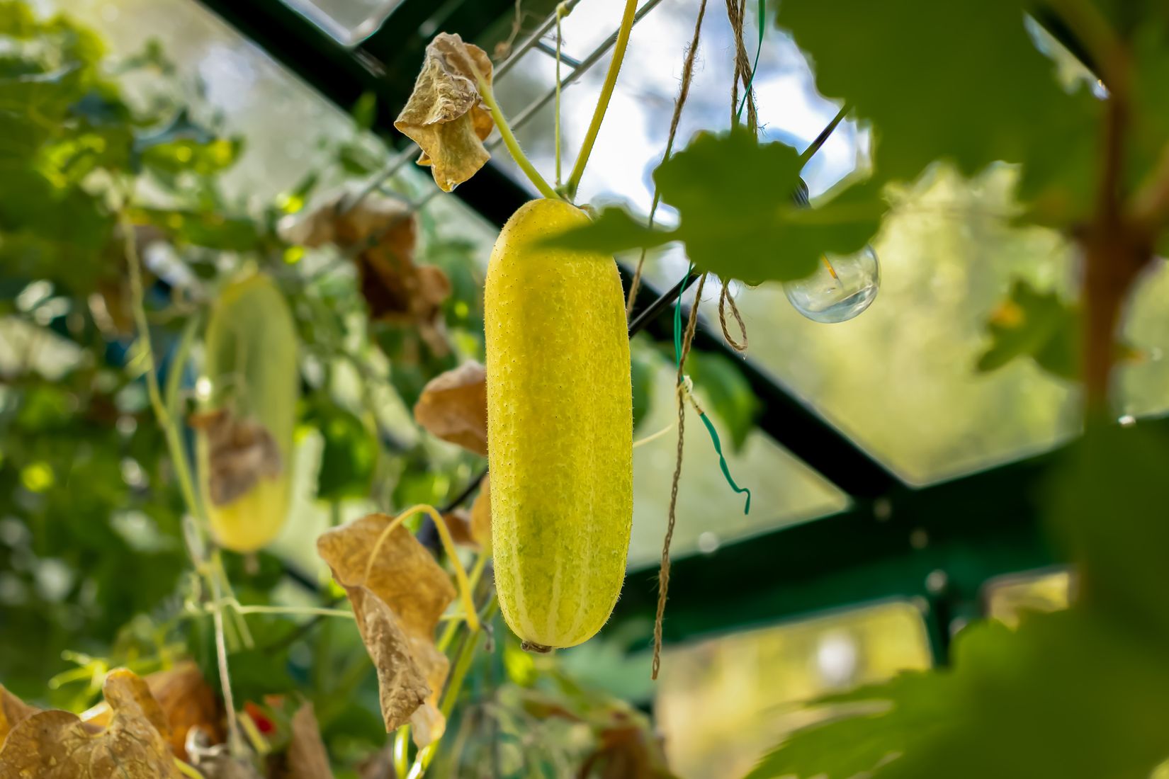 Villa, Fågelviks gårdsväg 10, Fågelvik, Värmdö