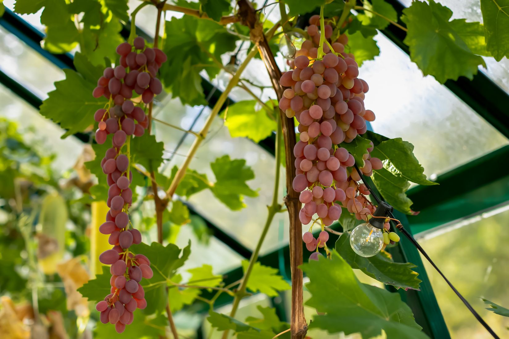 Villa, Fågelviks gårdsväg 10, Fågelvik, Värmdö
