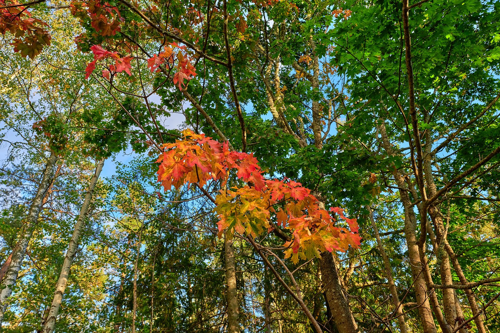 Villa, Gnejsvägen 3, Kalkudden, Strängnäs