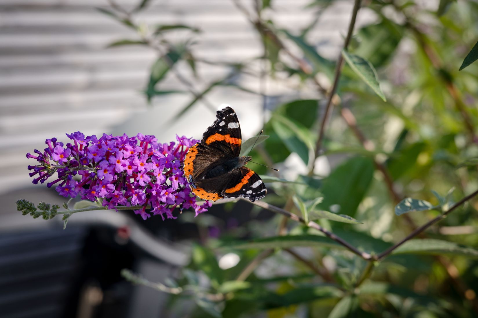 Bostadsrätt, Radhus, Valhallavägen 14B, Allarp, Laholm