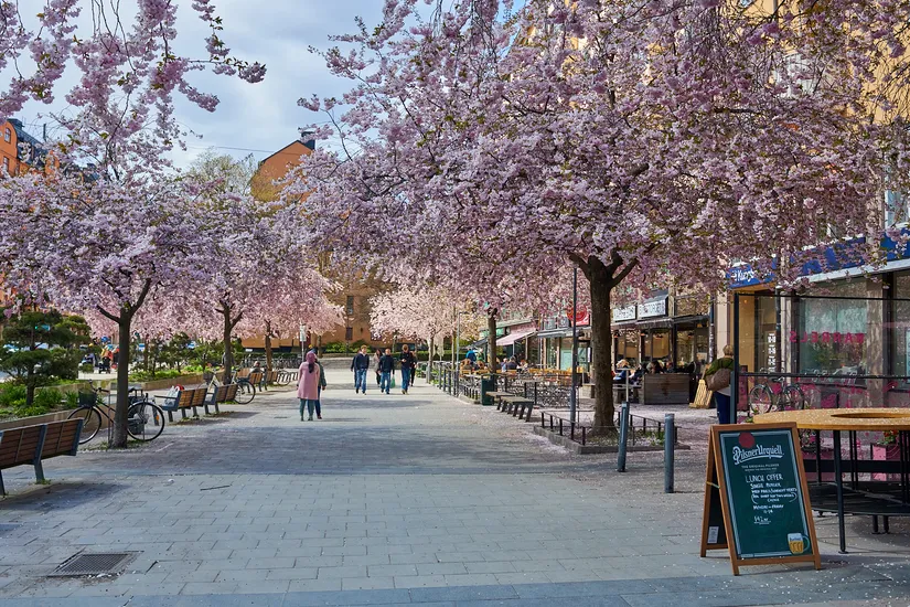 Bostadsrätt, Kattgränd 6, Södermalm Maria, Stockholm