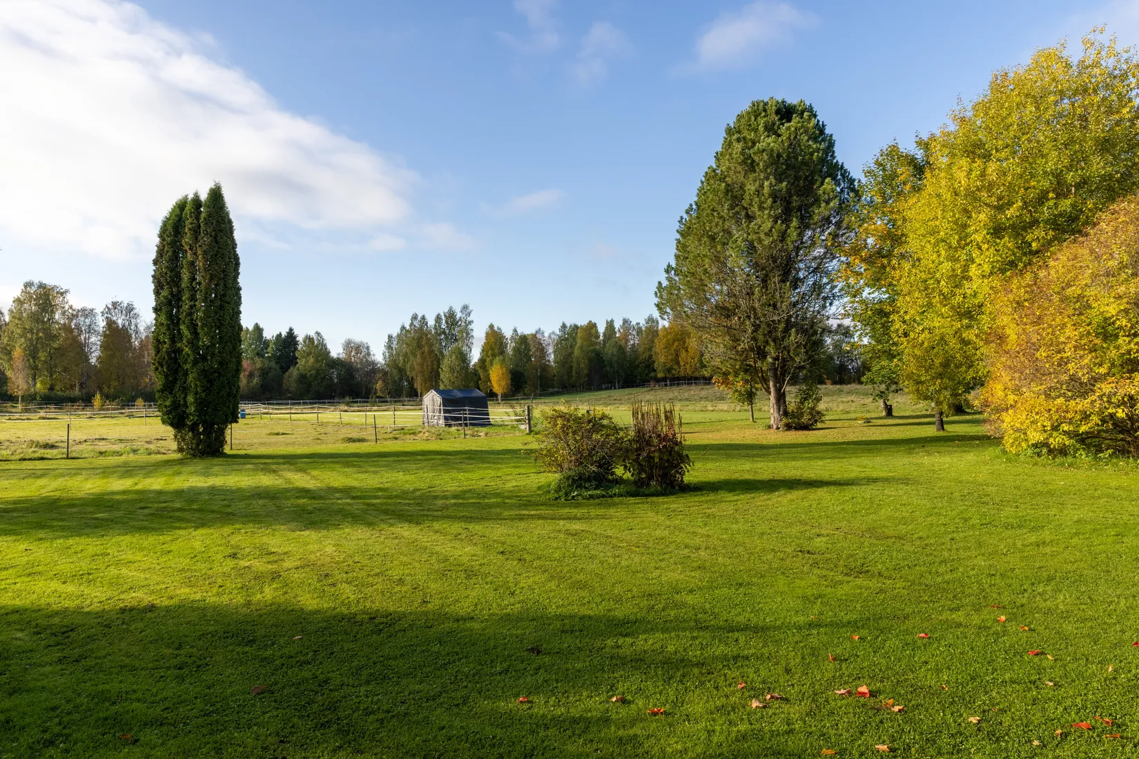 Villa, Bäckmansvägen 1, Hansjö, Orsa