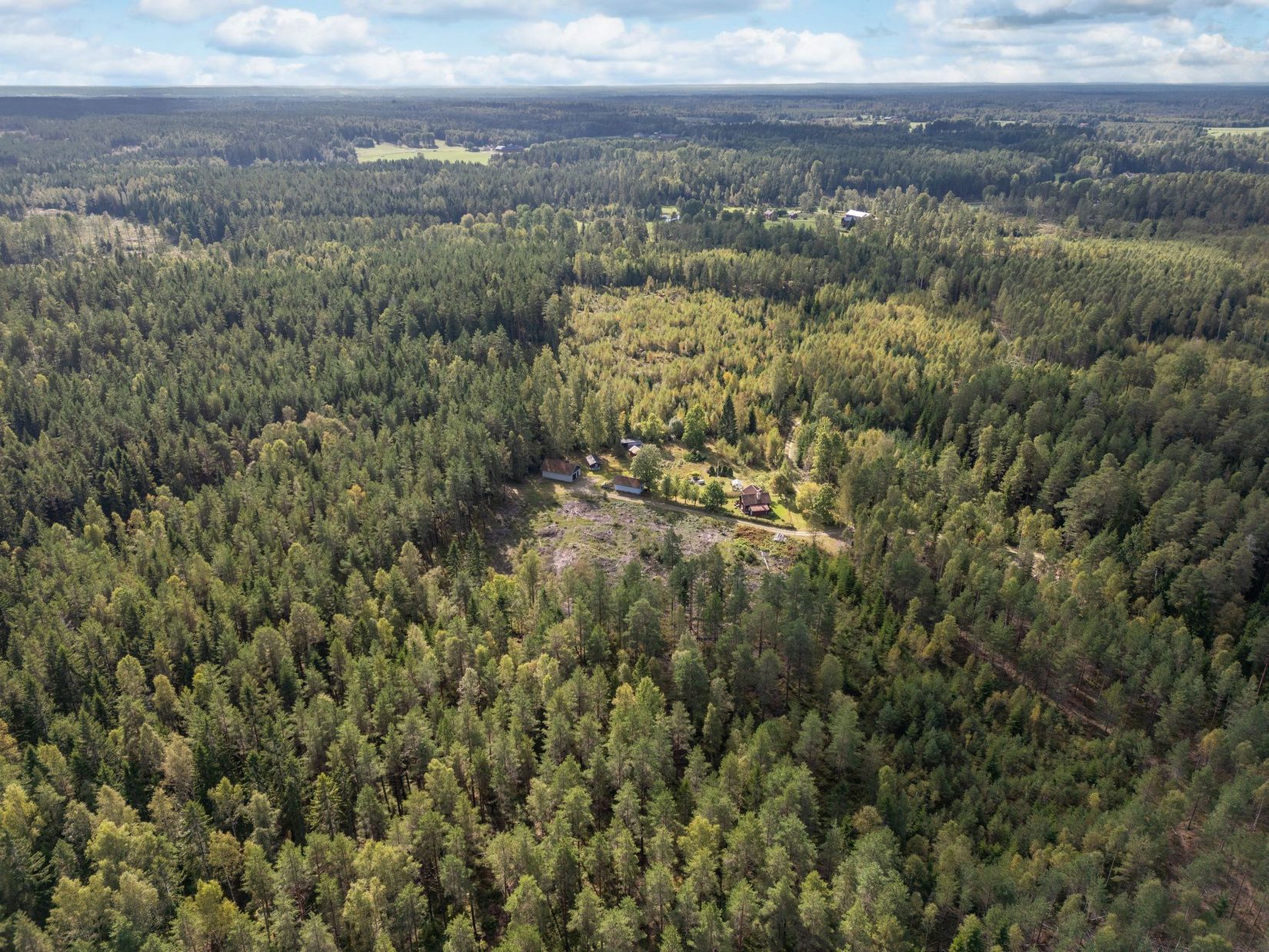 Gård/Skog, Hälleråd Lindgården, Hälleråd, Vingåker