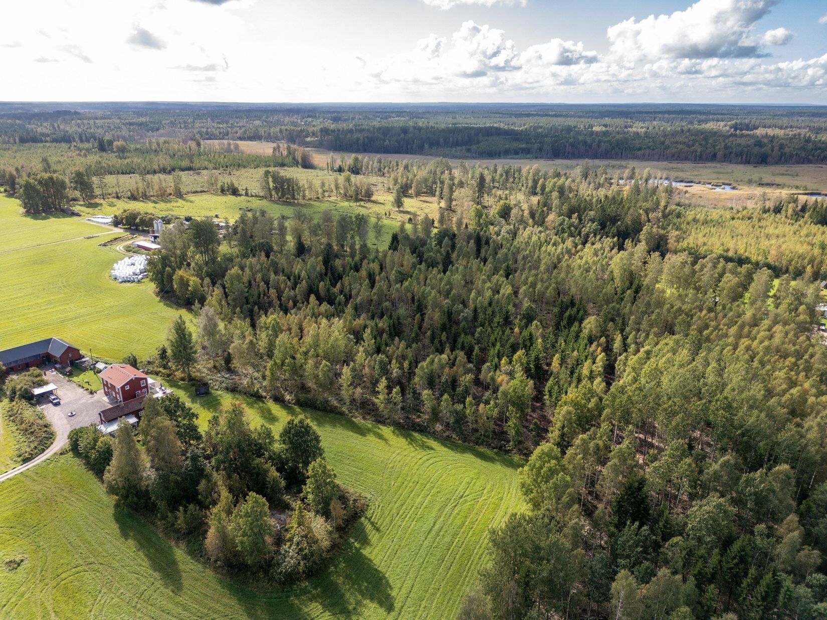 Gård/Skog, Hälleråd Lindgården, Hälleråd, Vingåker