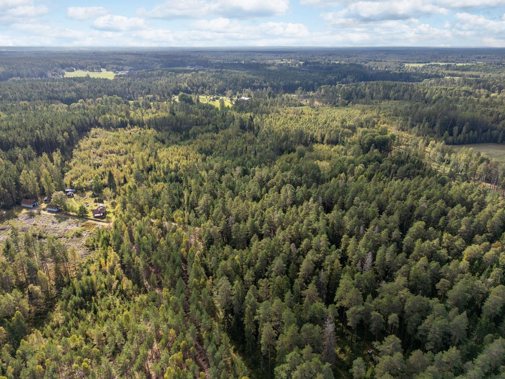 Gård/Skog, Hälleråd Lindgården, Hälleråd, Vingåker