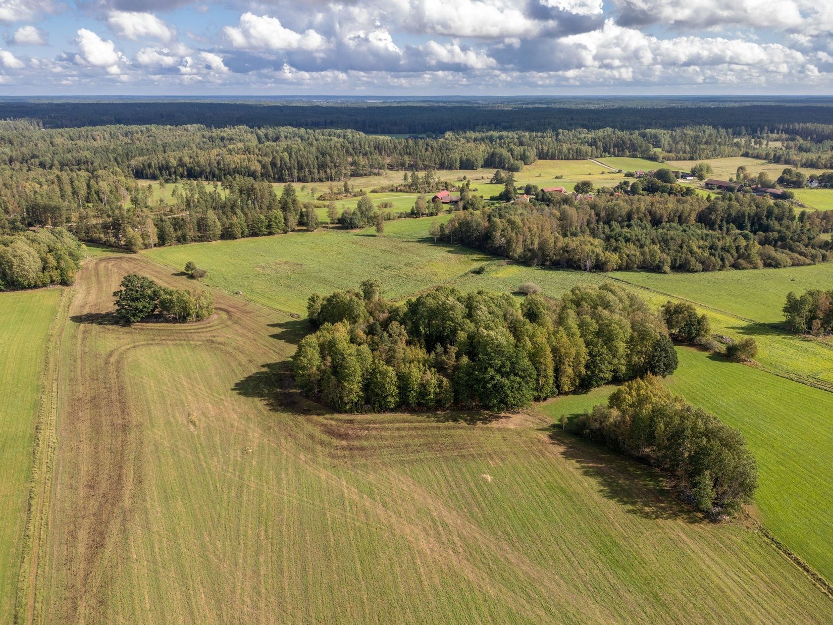 Gård/Skog, Hälleråd Lindgården, Hälleråd, Vingåker