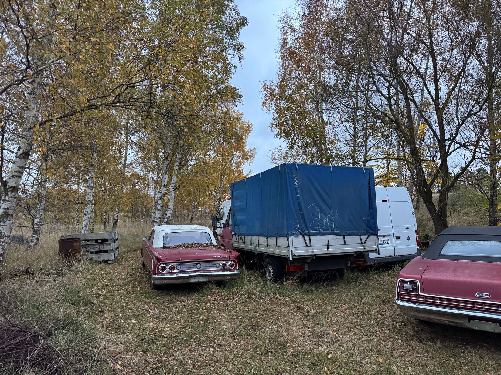 Gård/Skog, Rolsberga 415, Rolsberga, Höör