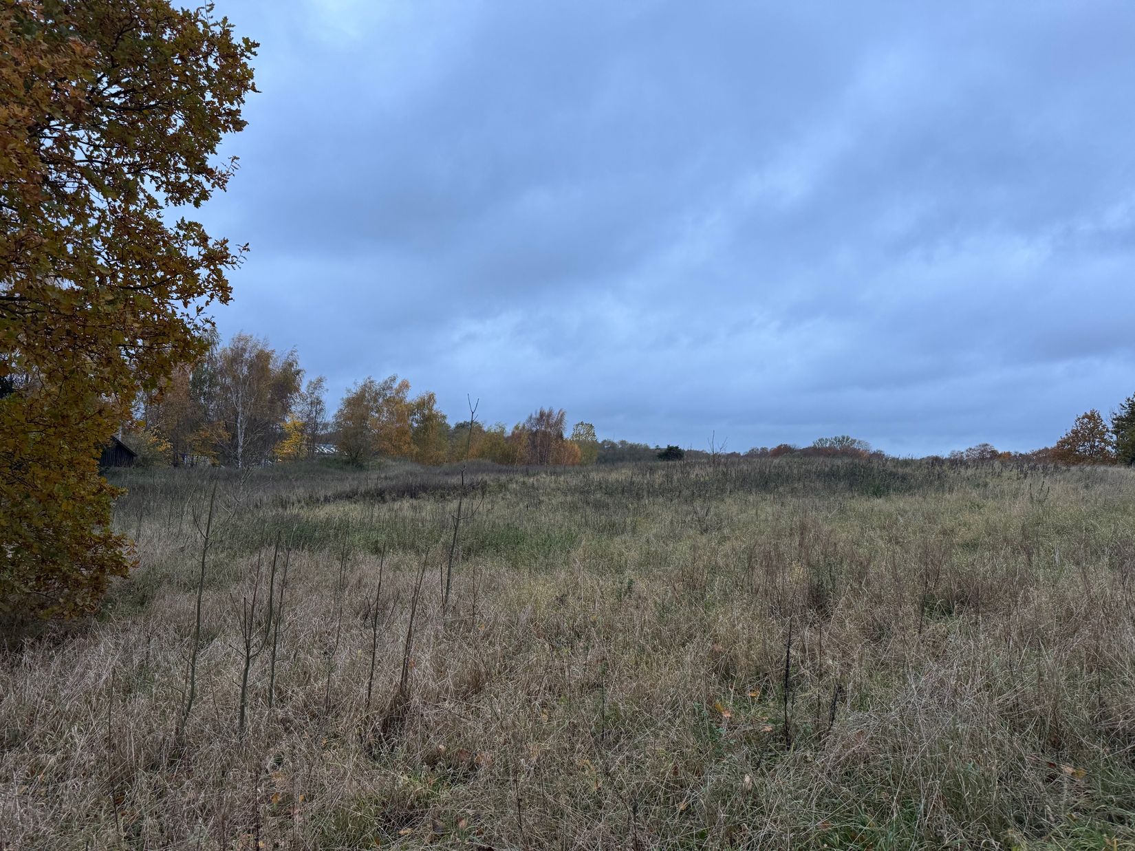 Gård/Skog, Rolsberga 415, Rolsberga, Höör