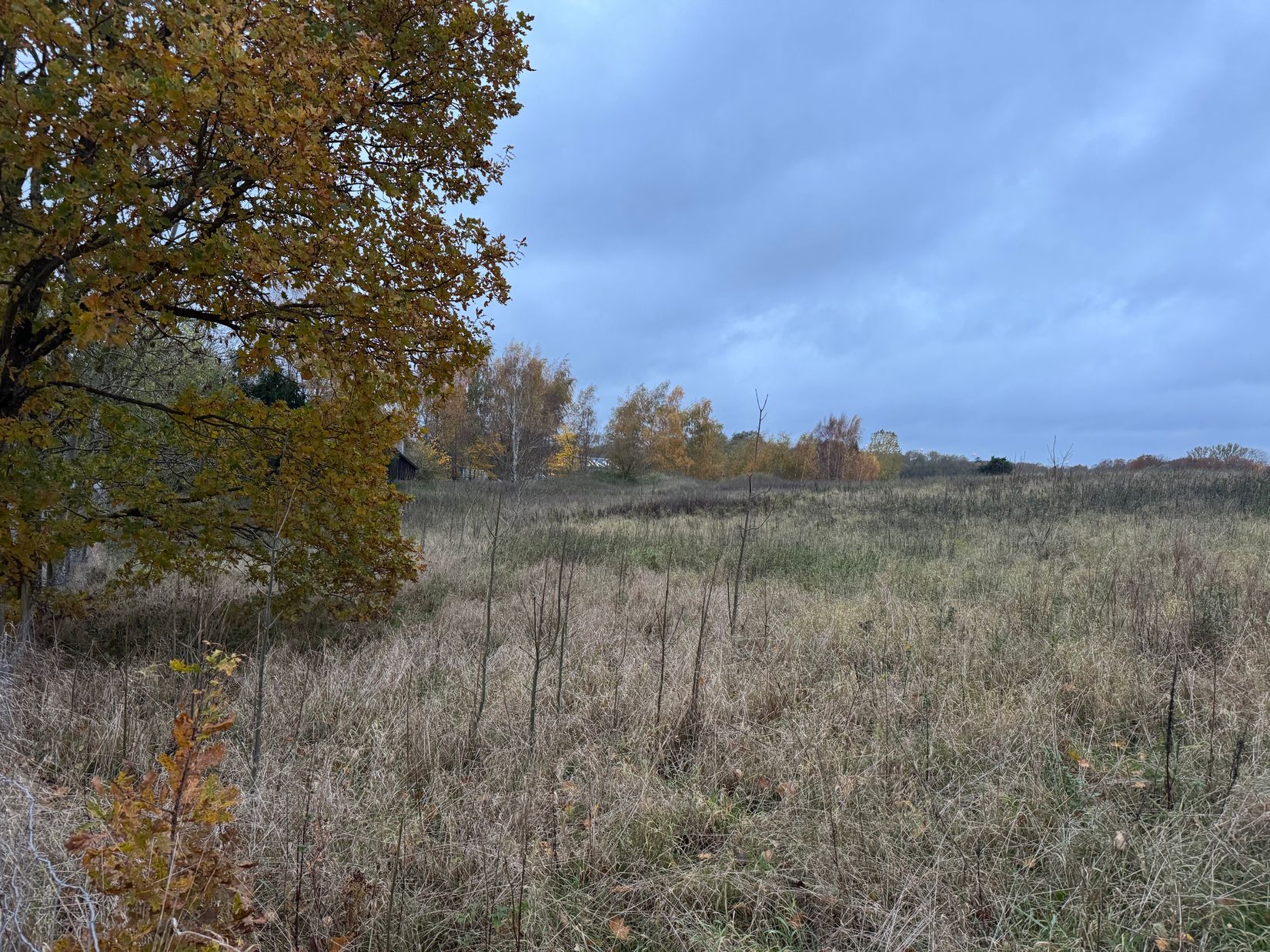Gård/Skog, Rolsberga 415, Rolsberga, Höör