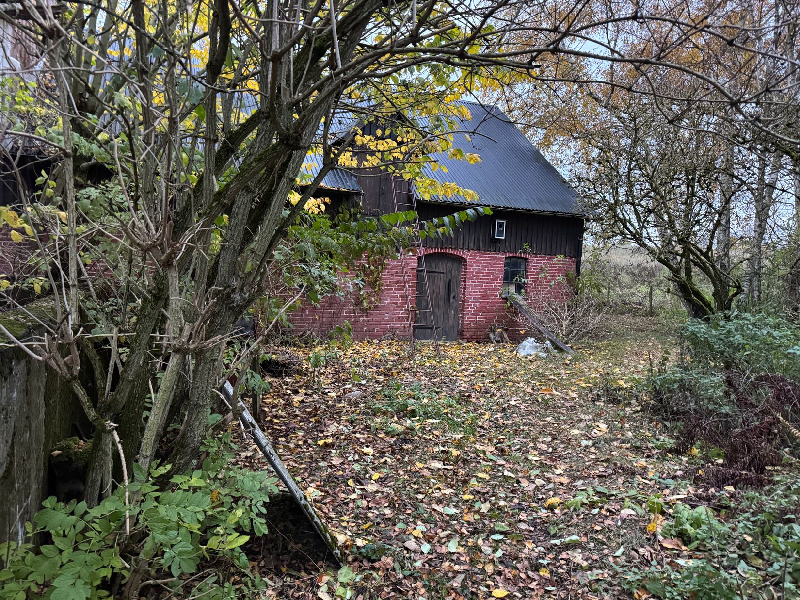 Gård/Skog, Rolsberga 415, Rolsberga, Höör