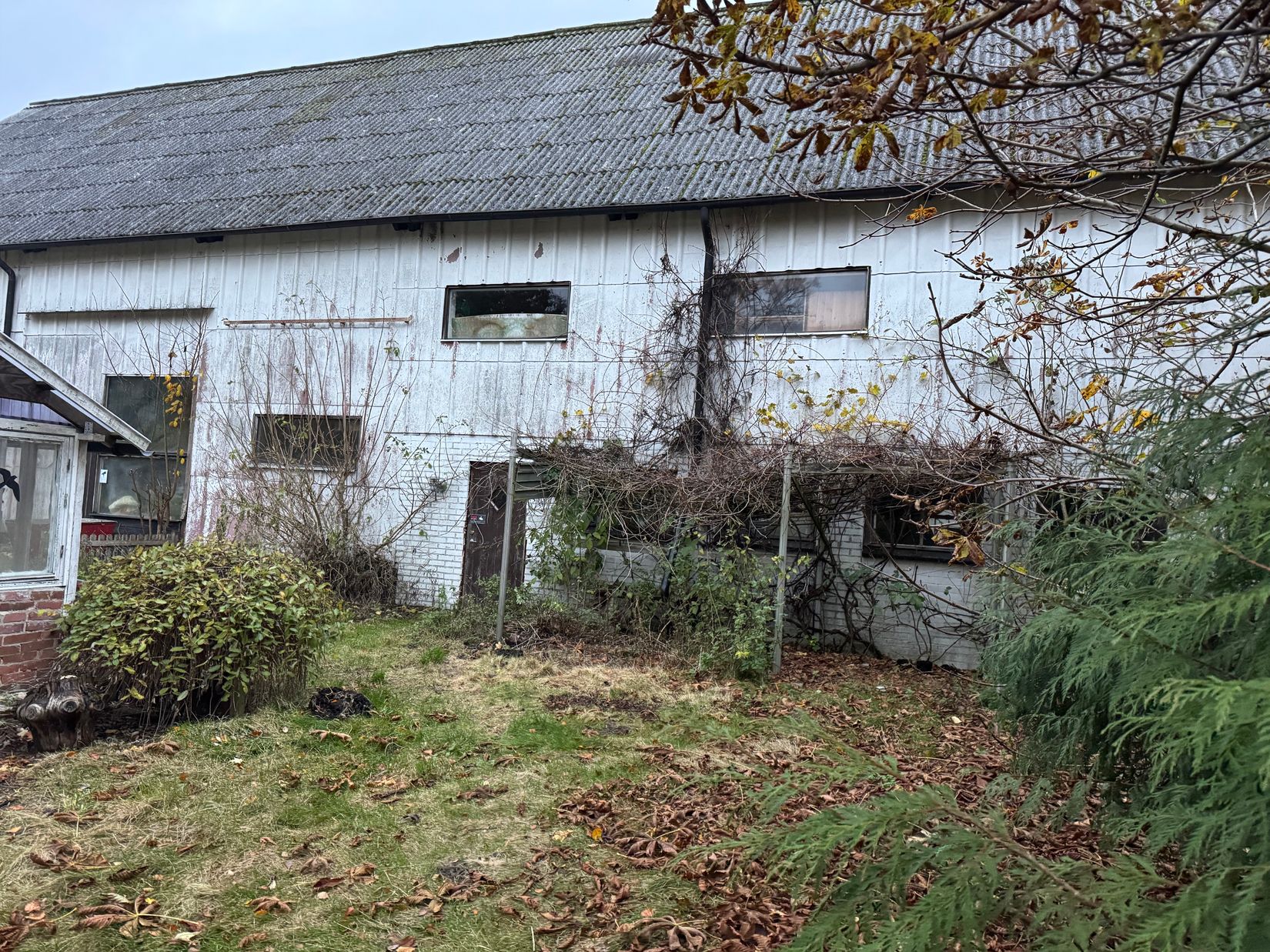 Gård/Skog, Rolsberga 415, Rolsberga, Höör