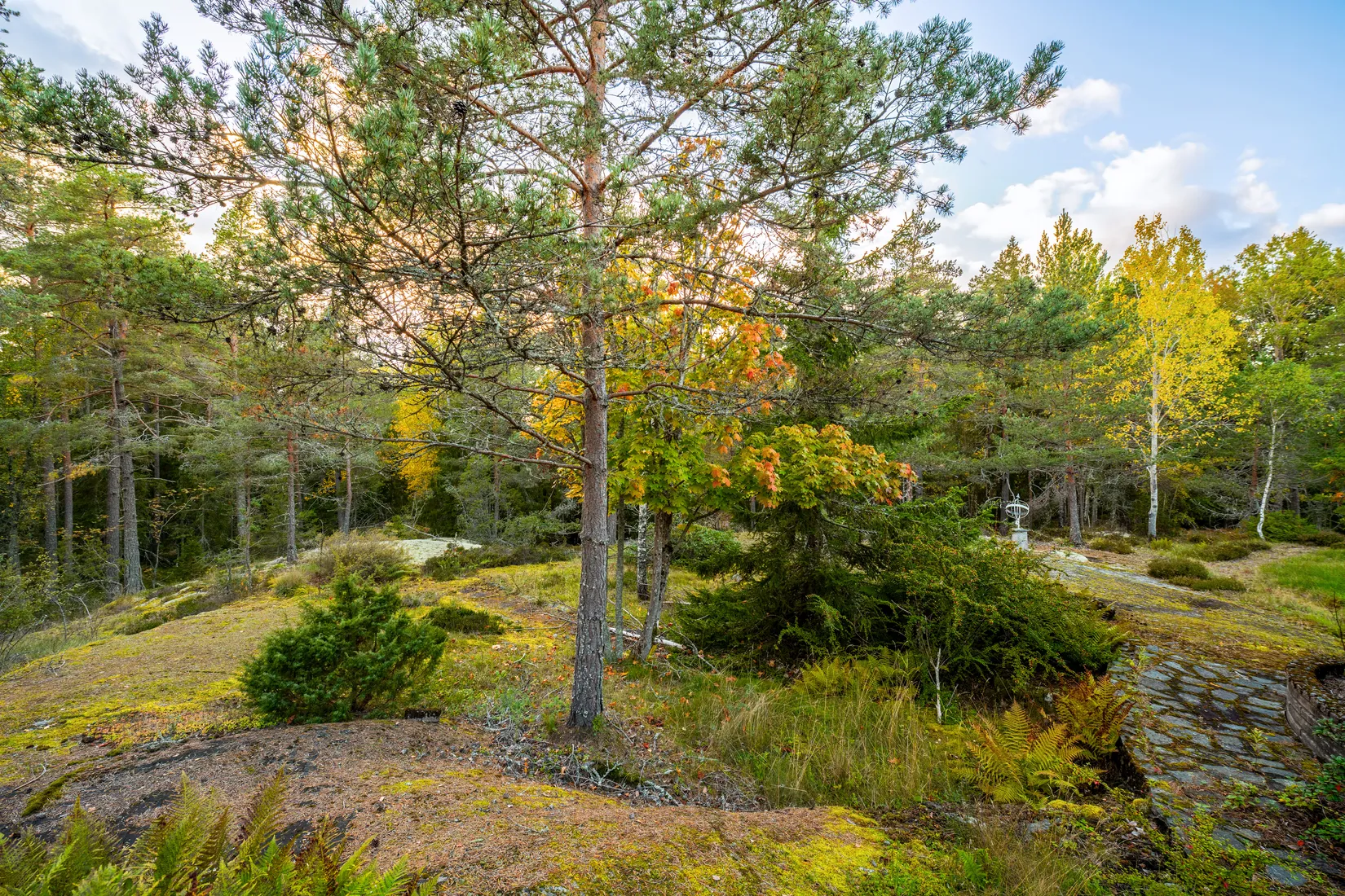 Fritidshus, Fågelviksvägen 197, Ingarö - Ingaröstrand, Värmdö