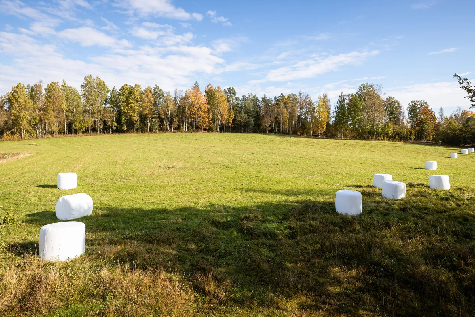 Gård/Skog, Hökerud Fallet 1, Kil
