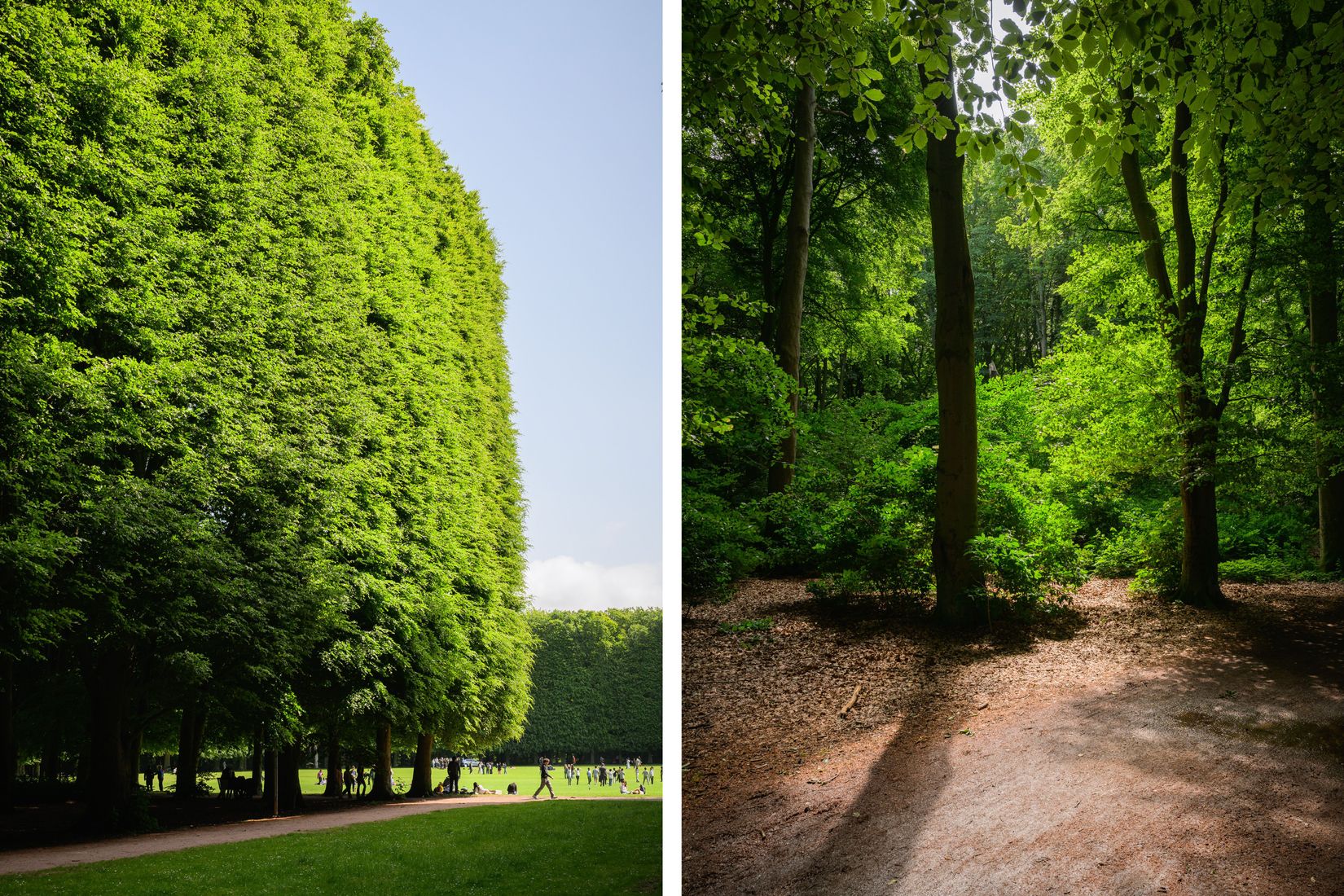 Bostadsrätt, Roskildevägen 25B, Pildammarna, Malmö