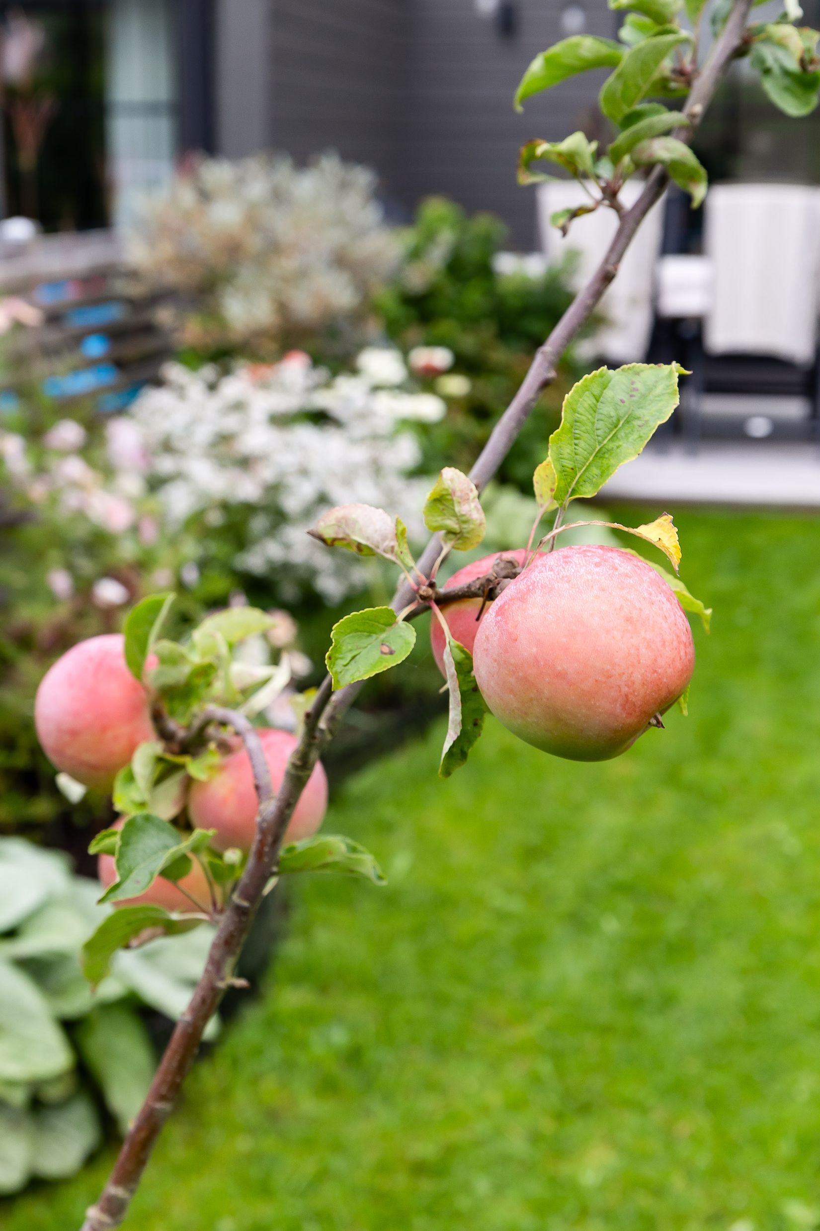 Bostadsrätt, Radhus, Hasselbacksvägen 3F, Lanna, Lekeberg