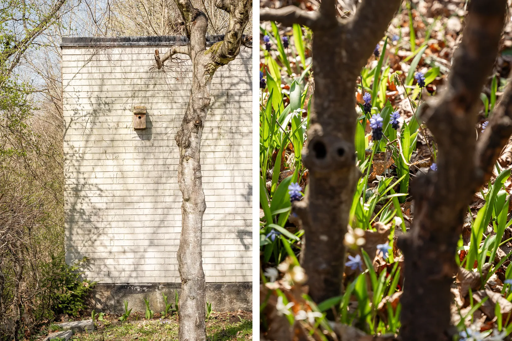 Villa, Radhus, Björn Järnsidas gränd 4, Linero, Lund