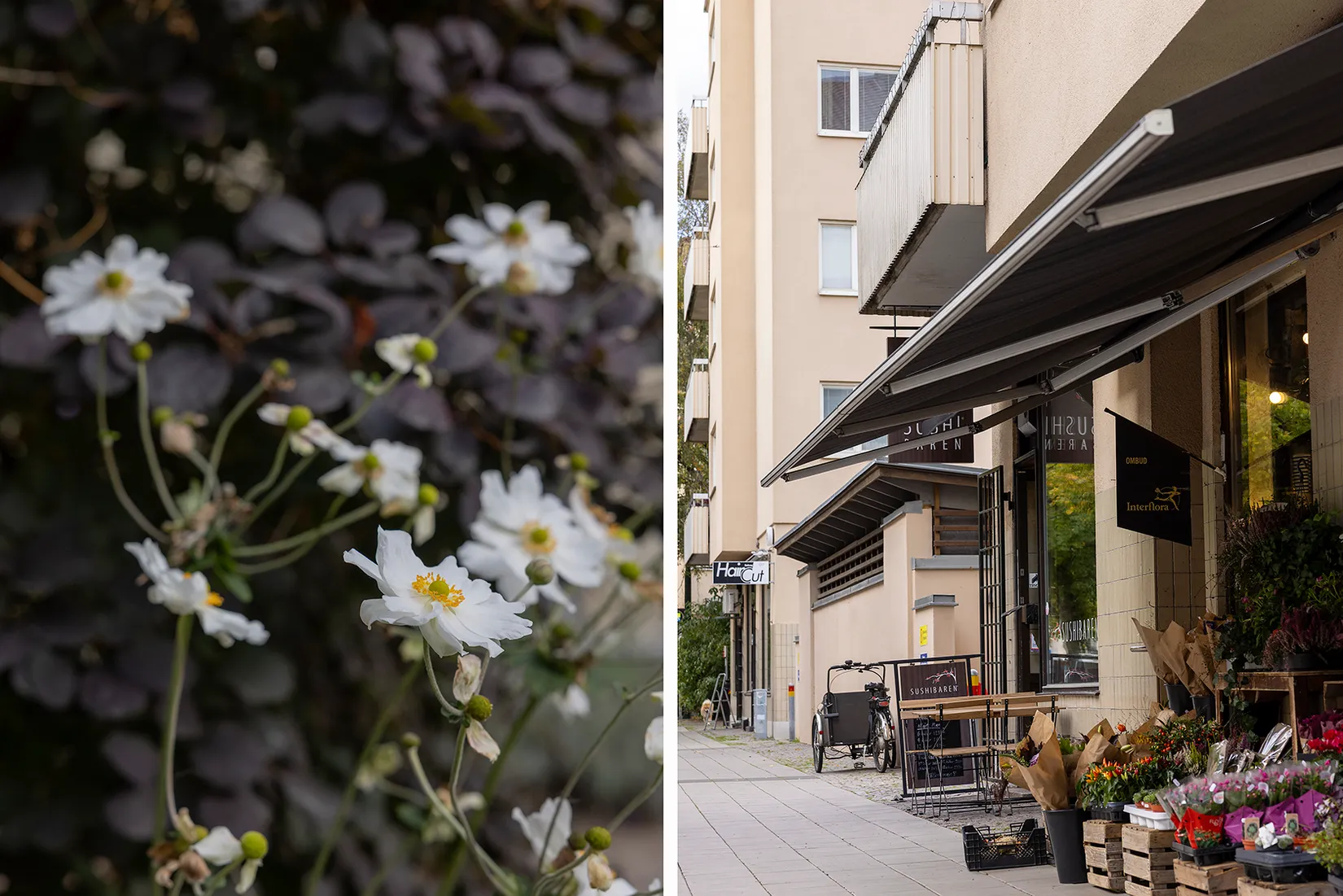 Bostadsrätt, Skvadronsgatan 9A, Slottsstaden, Malmö