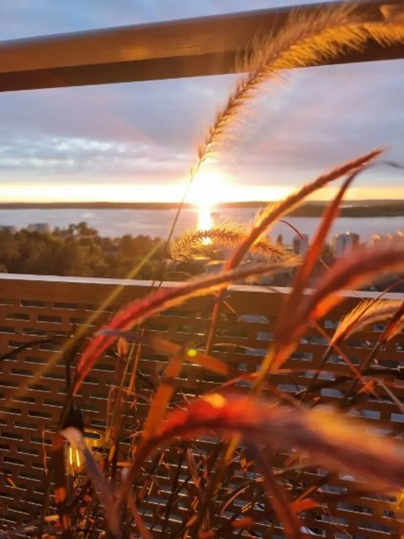 Äganderätt, Fabriksvägen 8, Bolinder Strand, Järfälla