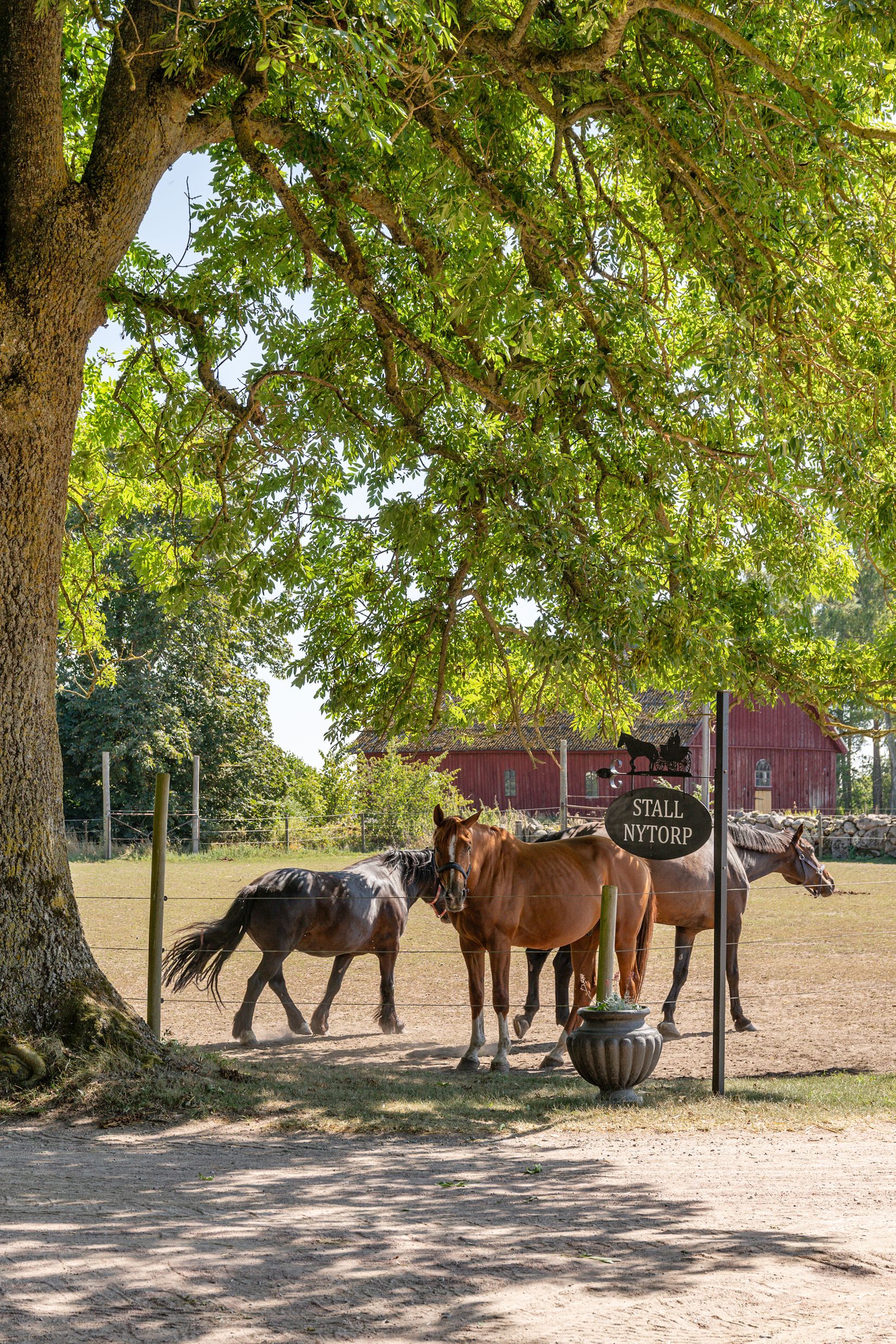 Villa, Brommagårdsvägen 106, Kristianstad - Gamla Balsby, Kristianstad
