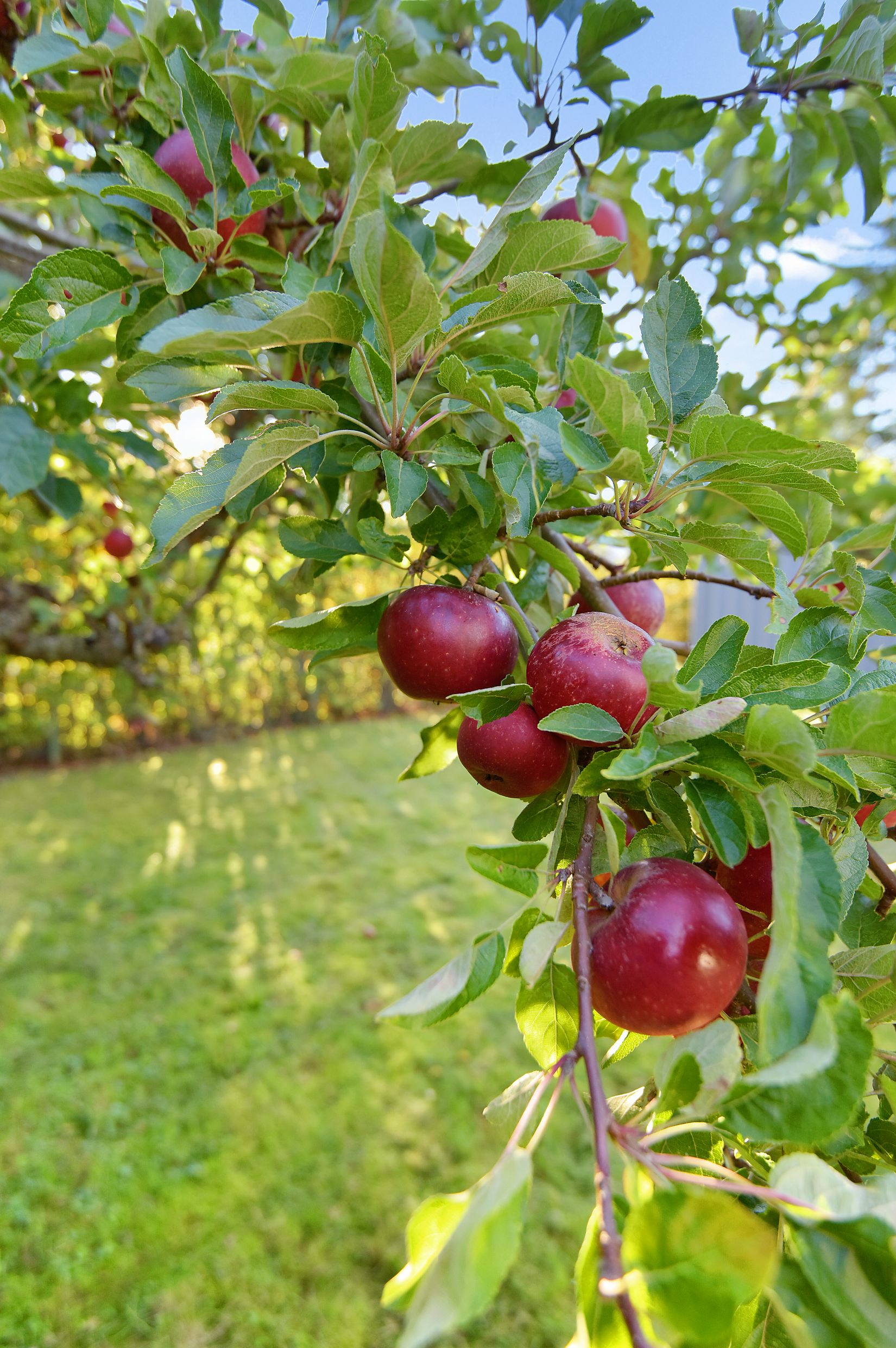 Villa, Brotorpsvägen 4, Spånga Sundby, Stockholm