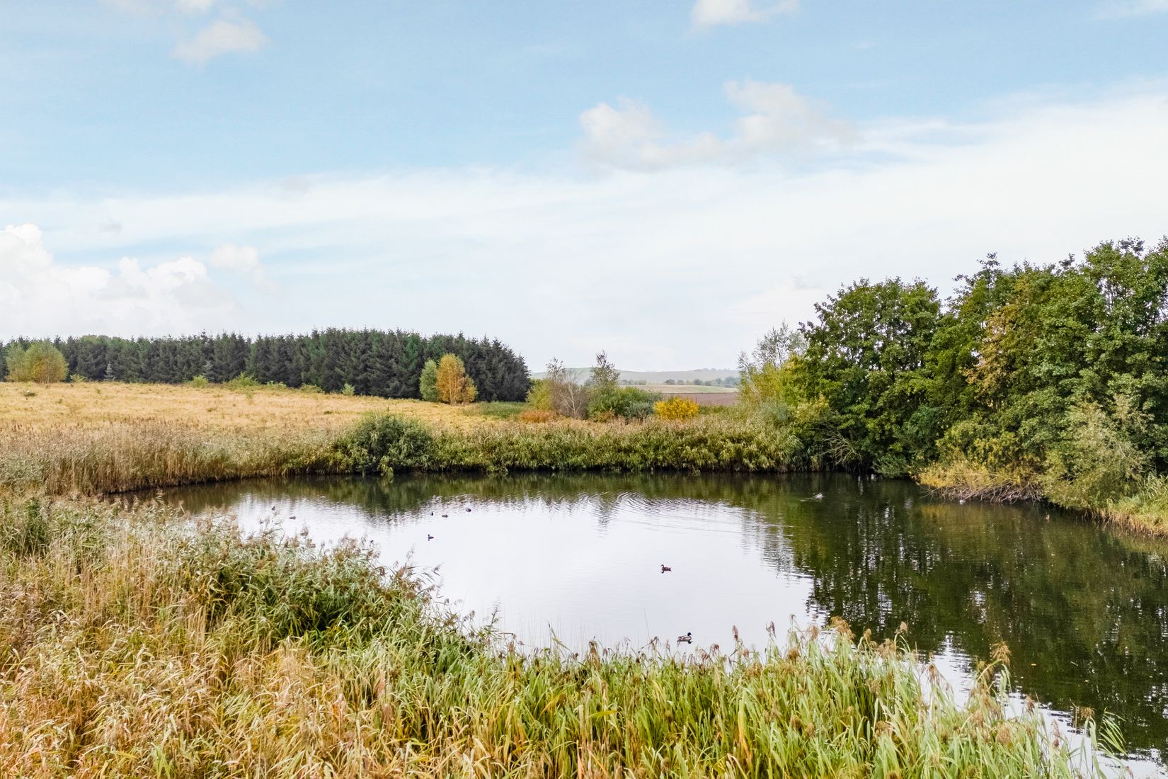 Villa, Hässleberga 471, Kongsmarken, Lund