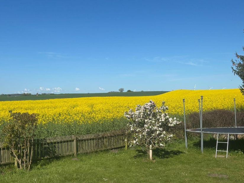 Villa, Hässleberga 471, Kongsmarken, Lund