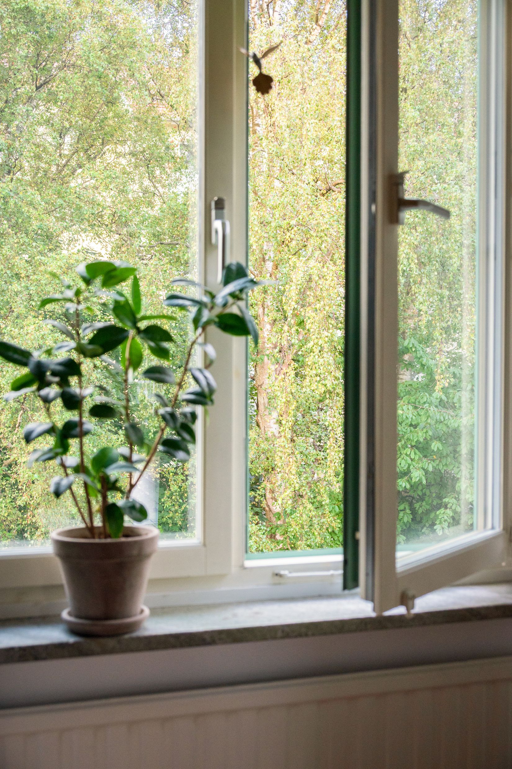 Bostadsrätt, Karl Johansgatan 164A, Majorna - Sandarna, Göteborg