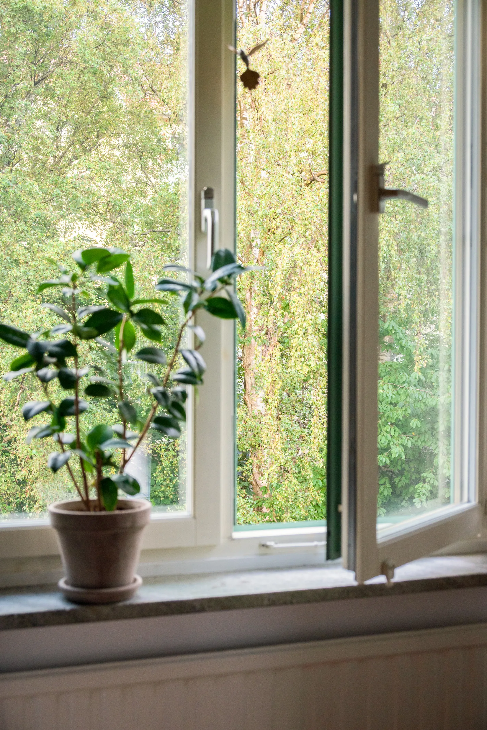 Bostadsrätt, Karl Johansgatan 164A, Majorna - Sandarna, Göteborg