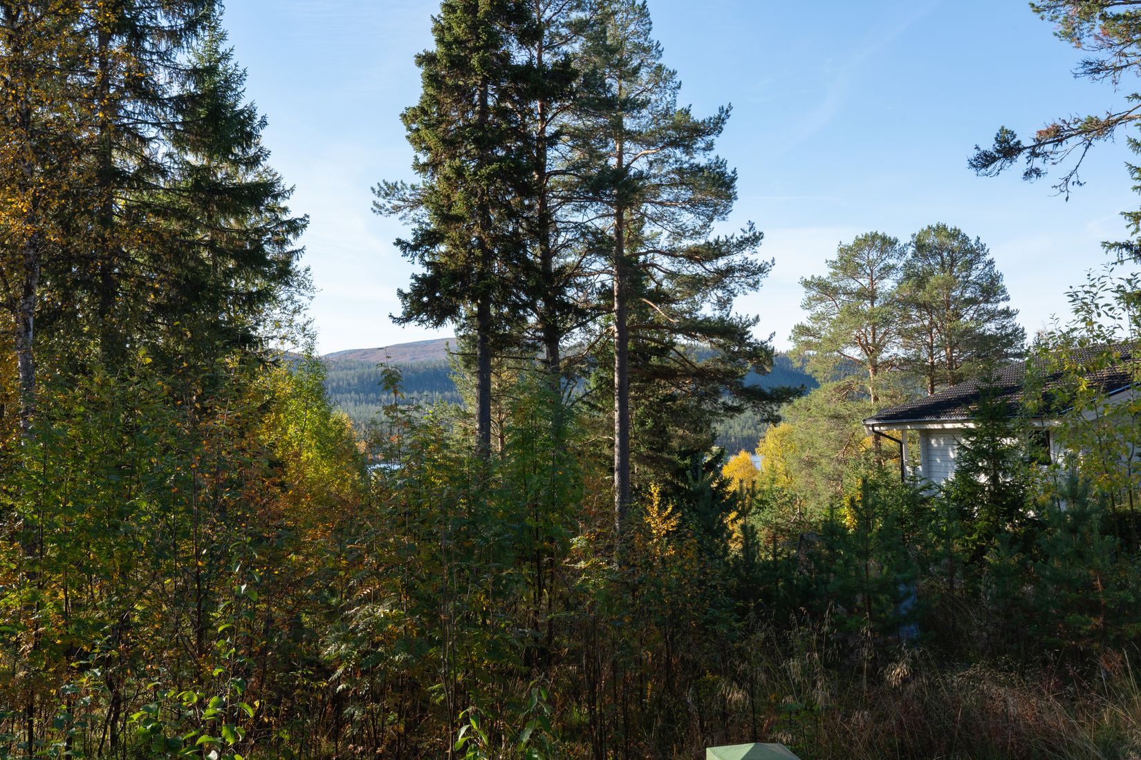 Fritidshus, Spruthusvägen 9, Härjedalen