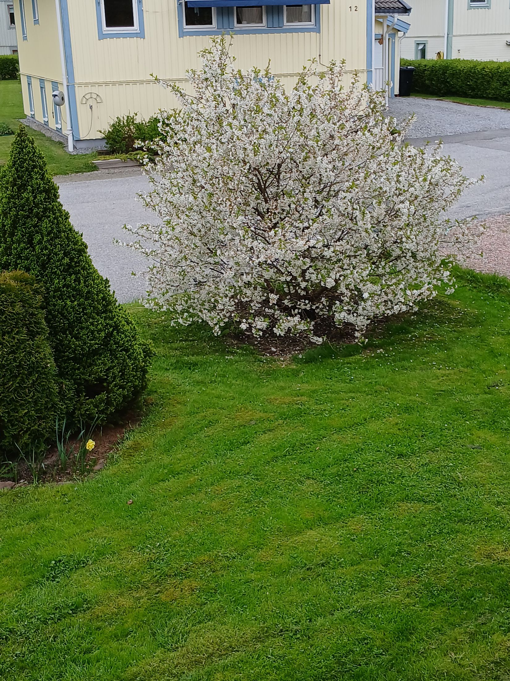 Villa, Barkvägen 11, Kramfors