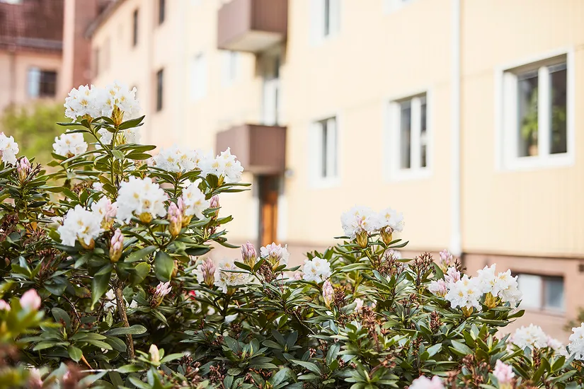 Bostadsrätt, Sjögatan 13B, Torpa, Jönköping