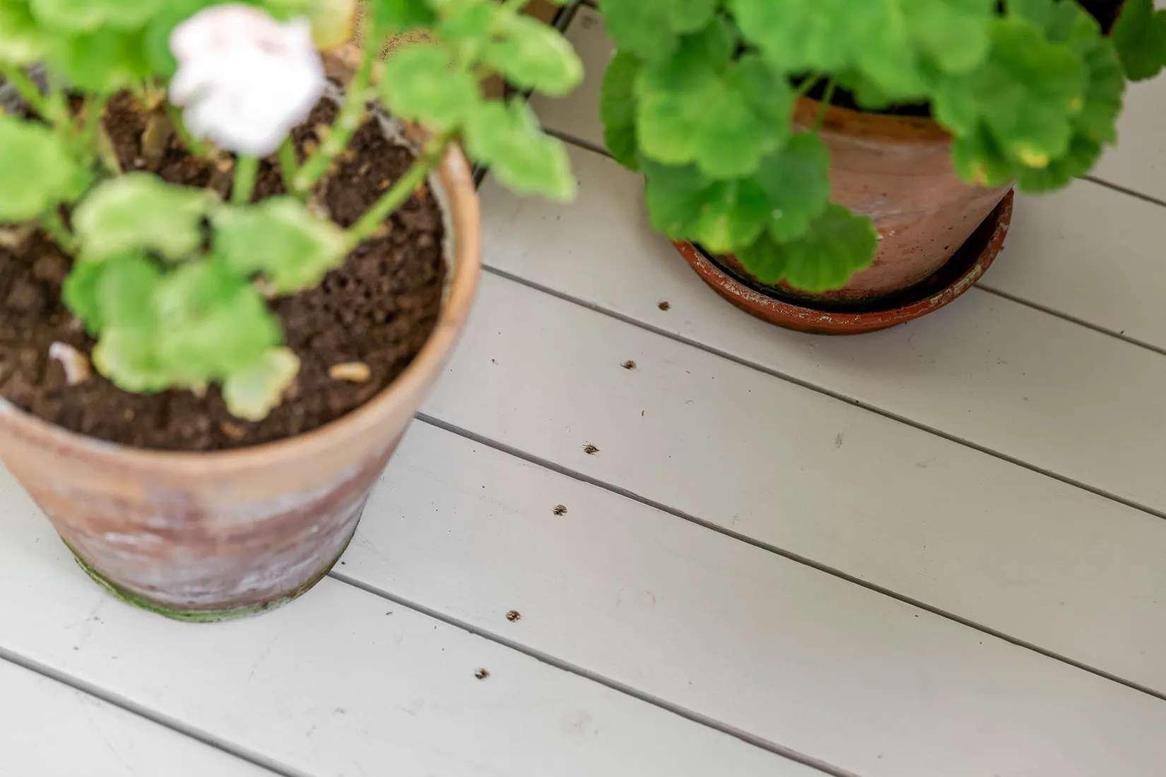 Bostadsrätt, Lindormsgatan 48, Sjöbo, Borås