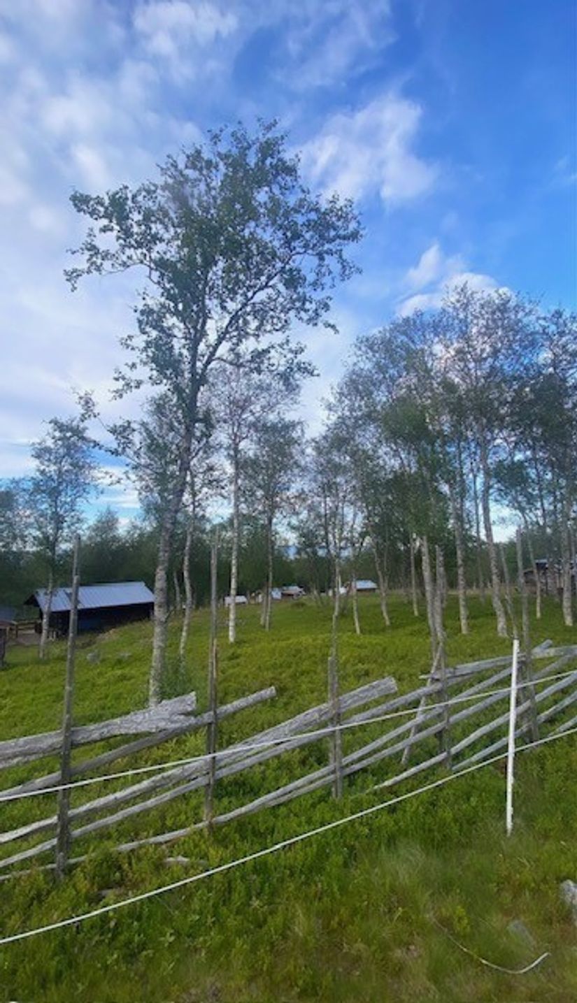 Bostadsrätt, Björnrike, Terrassvägen 39:8, Björnrike, Härjedalen