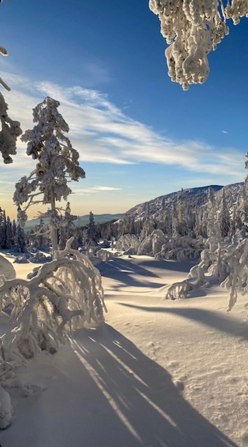 Bostadsrätt, Björnrike, Terrassvägen 39:8, Björnrike, Härjedalen