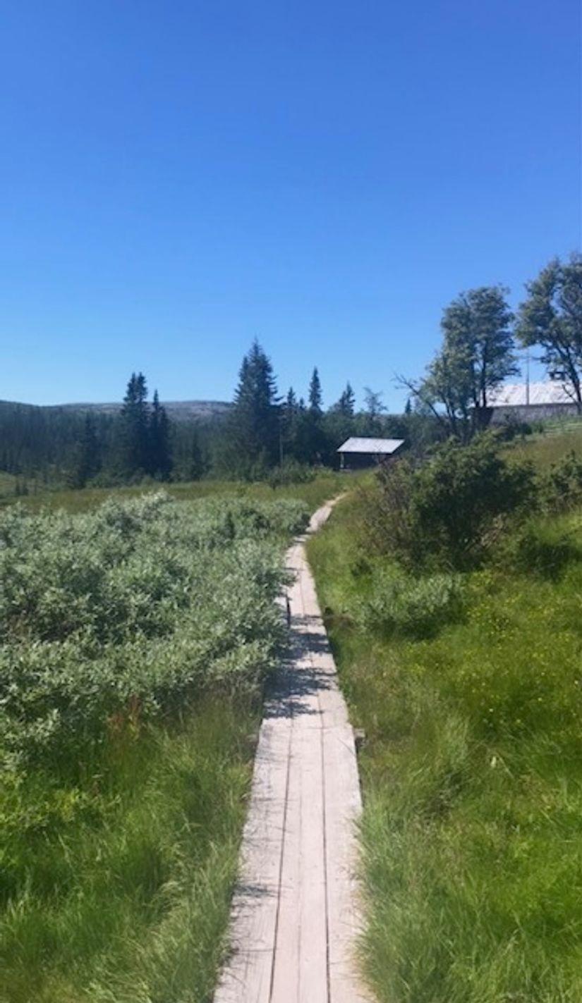 Bostadsrätt, Björnrike, Terrassvägen 39:8, Björnrike, Härjedalen