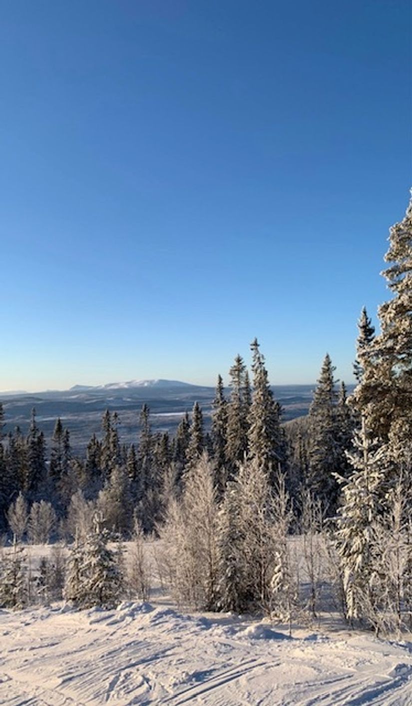 Bostadsrätt, Björnrike, Terrassvägen 39:8, Björnrike, Härjedalen